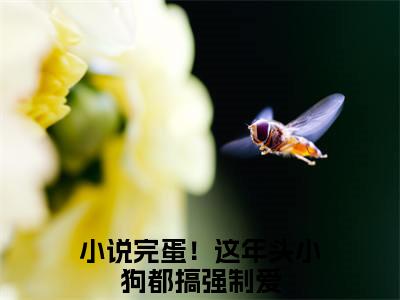 完蛋！这年头小狗都搞强制爱全文免费阅读无弹窗大结局，周宇团喻笙小说精彩免费试读