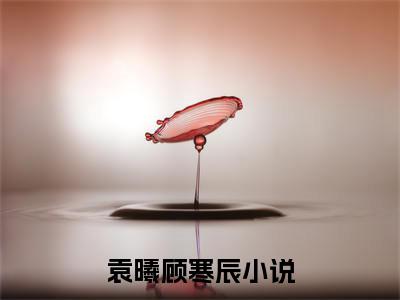 袁曦顾寒辰小说（袁曦顾寒辰）最新章节阅读-小说（袁曦顾寒辰）已完结全集大结局