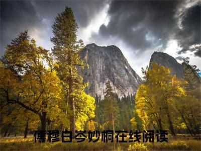 傅穆白岑妙桐(傅穆白岑妙桐)全文免费阅读无弹窗大结局_(傅穆白岑妙桐)免费阅读全文无弹窗_笔趣阁