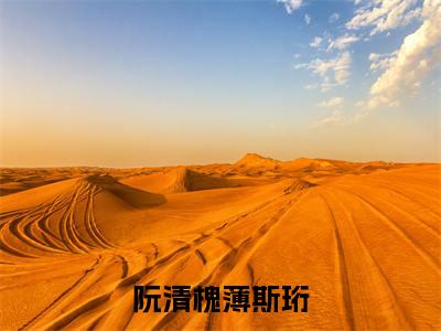 阮清槐薄斯珩小说免费阅读-精选好书阮清槐薄斯珩