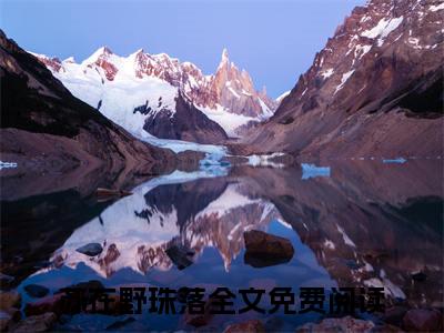 苏在野珠落（苏在野珠落）全文免费阅读无弹窗大结局_（苏在野珠落全文免费阅读无弹窗）苏在野珠落最新章节列表_笔趣阁（苏在野珠落）