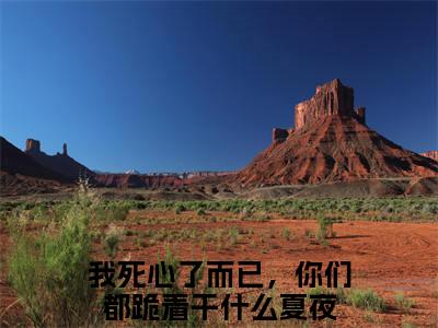 我死心了而已，你们都跪着干什么夏夜小说全文免费阅读无弹窗，（我死心了而已，你们都跪着干什么夏夜）小说全文免费阅读