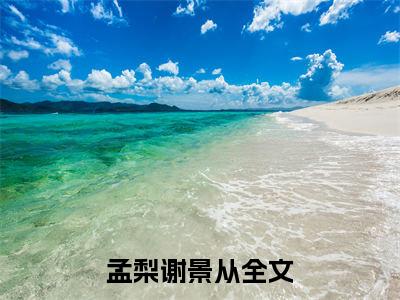 孟梨谢景从（孟梨谢景从)全文免费阅读无弹窗大结局_孟梨谢景从全文免费阅读_笔趣阁（孟梨谢景从）