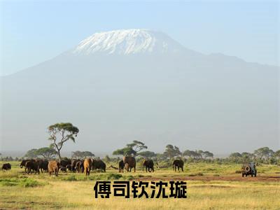 傅司钦沈璇热门小说在哪免费看-小说（傅司钦沈璇）完整版全文在线赏析