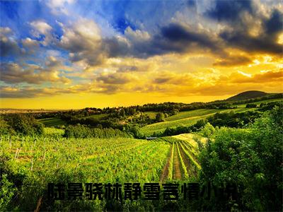 陆景骁林静雪小说全文无删减版在线阅读_（陆景骁林静雪）小说全文免费阅读_陆景骁林静雪最新章节列表_笔趣阁
