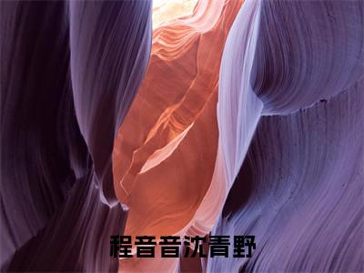 《程音音沈青野》全文免费阅读最新章节大结局-程音音沈青野无弹窗阅读