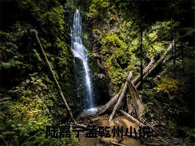 陆嘉宁孟乾州是哪部小说的主角，陆嘉宁孟乾州免费阅读全文大结局