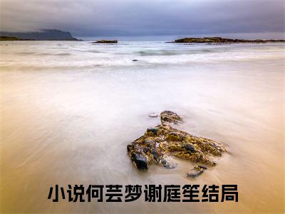 何芸梦谢庭笙小说大结局免费阅读-完结版何芸梦谢庭笙小说免费阅读