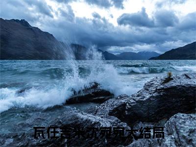 瓦任吉米沈宛宛(瓦任吉米沈宛宛)全文免费阅读无弹窗大结局_(瓦任吉米沈宛宛)小说免费阅读最新章节列表