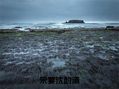 宋宴沈酌清（宋宴沈酌清）全文免费阅读无弹窗大结局_宋宴沈酌清全文免费阅读（宋宴沈酌清）最新章节列表_笔趣阁（宋宴沈酌清）