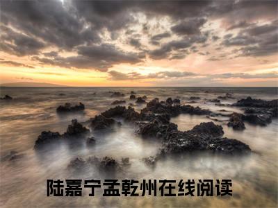 陆嘉宁孟乾州免费小说 陆嘉宁孟乾州全文完整版阅读