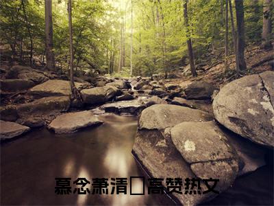 慕念萧清玦（皇叔小说全文）在线阅读-慕念萧清玦全文免费阅读大结局