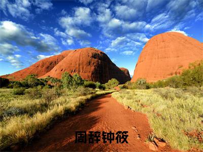 卿心似月（周辞钟筱）全文完整版免费阅读-主角叫周辞钟筱的小说卿心似月