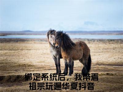 （热推新书）宋灵音完整版免费小说无弹窗阅读_宋灵音最新章节列表_笔趣阁（绑定系统后，我带着祖宗玩遍华夏）