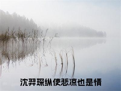 沈羿琛快手小说（纵使悲凉也是情）txt阅读大结局-抖音近期热门沈羿琛全文免费