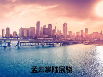 孟云裳陆宸骁小说免费阅读-（孟云裳陆宸骁）言情小说孟云裳陆宸骁讲的是什么