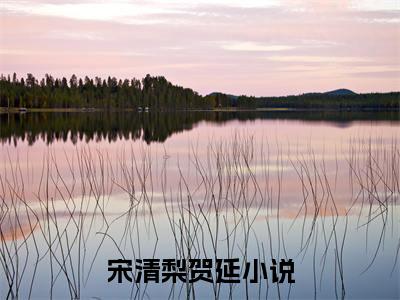 宋清梨贺延(宋清梨贺延）全文免费阅读无弹窗大结局_ 宋清梨贺延最新章节完整版阅读
