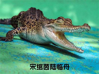 宋绾茵陆临舟抖音完结版阅读《宋绾茵陆临舟抖音》最新章节目录好书推荐_(宋绾茵陆临舟)