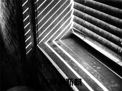 许寻清靳朝（许寻清靳朝）全文免费阅读无弹窗_许寻清靳朝最新小说_笔趣阁（许寻清靳朝）