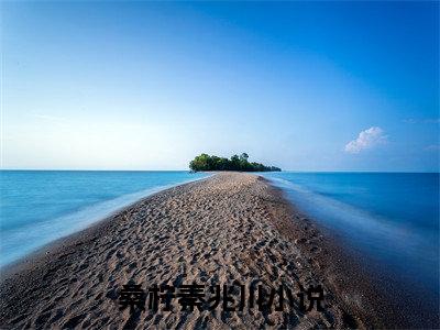 小说桑柠秦兆川全文阅读-（桑柠秦兆川）小说桑柠秦兆川大结局