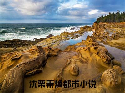 沈栗秦焕热门言情小说推荐阅读，（沈栗秦焕）在哪免费看