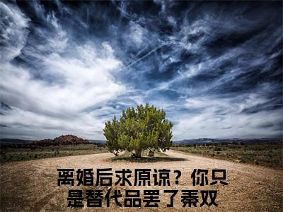 离婚后求原谅？你只是替代品罢了秦双全文免费阅读无弹窗大结局-离婚后求原谅？你只是替代品罢了秦双(离婚后求原谅？你只是替代品罢了秦双小说)最新章节-笔趣阁