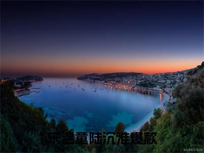 宋温童陆沉淮小说免费版最新更新阅读-宋温童陆沉淮全文免费阅读