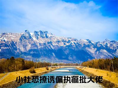 小社恐撩诱偏执疯批大佬（宋轻漆淮）全文免费阅读无弹窗_小社恐撩诱偏执疯批大佬宋轻漆淮最新章节免费阅读_笔趣阁