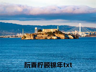 阮青柠顾锦年(阮青柠顾锦年)全文免费阅读无弹窗大结局_阮青柠顾锦年免费阅读无弹窗最新章节列表_笔趣阁