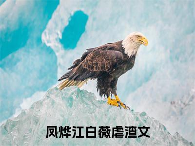 凤烨江白薇全文免费阅读-（倒霉男科女医，拐个王爷来纠缠）小说全文免费阅读正版无弹窗
