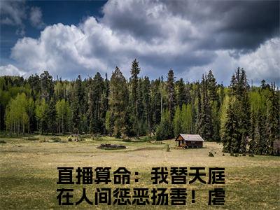 直播算命：我替天庭在人间惩恶扬善！小说（孙小圣）完整版小说阅读_直播算命：我替天庭在人间惩恶扬善！全本列表免费笔趣阁