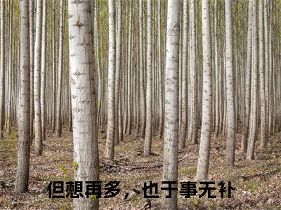 许舒檬小说全文免费阅读小说但想再多，也于事无补热门小说完整版阅读