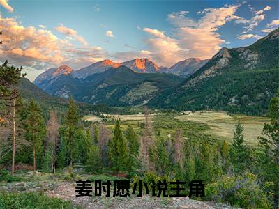 打赏十倍返利，都分手了你哭什么小说在线阅读（姜时愿）全文免费阅读无弹窗大结局