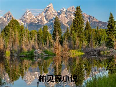 林见琛（未见星辰未见我）全文免费阅读无弹窗大结局_未见星辰未见我最新章节列表