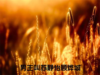 苏静怡顾烨城精彩章节试读-苏静怡顾烨城虐心小说免费阅读