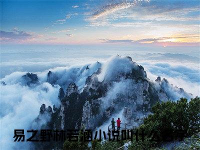 浮生若梦朝与暮全文免费阅读大结局易之野林若涵最新章节列表（全文）+（番外）