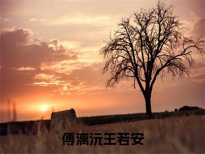 傅漓沅王若安新上热文小说-傅漓沅王若安推荐阅读已完结