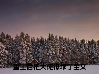重生后把大佬撩乖了墨北辰乔望舒小说免费阅读-重生后把大佬撩乖了抖音新书热荐