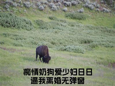 （热推新书）《痴情奶狗爱少妇日日逼我离婚》全文免费阅读无弹窗大结局_顾姚顾北辰无弹窗全文阅读