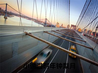 温时年钟梨月全文免费(温时年钟梨月)全集小说完整版大结局-温时年钟梨月全文阅读无弹窗
