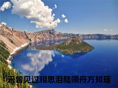 陆翊舟方知瑶（未曾见过相思泪）全文免费阅读无弹窗大结局_陆翊舟方知瑶全文免费阅读最新章节列表_笔趣阁