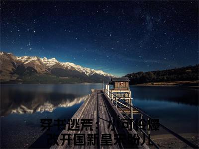 穿书逃荒：小可怜爆改开国新皇宋盼儿全网首发小说，穿书逃荒：小可怜爆改开国新皇宋盼儿全文免费阅读