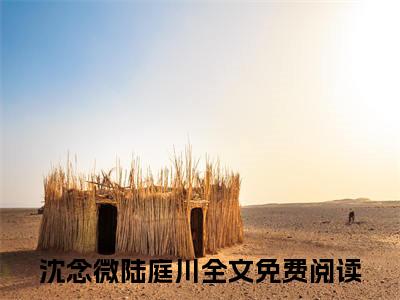 沈念微陆庭川小说全文免费阅读无弹窗大结局-沈念微陆庭川 小说在哪里可以看沈念微陆庭川