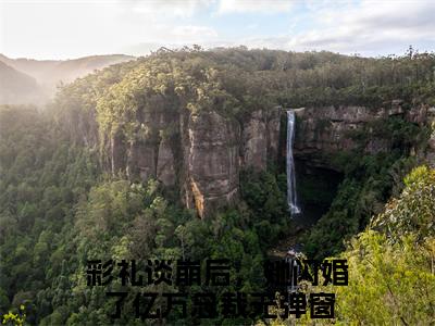 南荞小说全文免费阅读_（彩礼谈崩后，她闪婚了亿万总裁）南荞完结版在线阅读最新章节列表笔趣阁