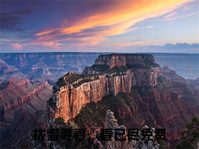 拨雪寻春，春已尽（宴南初权蘅）全文免费阅读无弹窗大结局_拨雪寻春，春已尽最新章节列表_笔趣阁