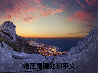 【新书】《她在阑珊处》陆晏浔姜溪晚全文全章节免费阅读