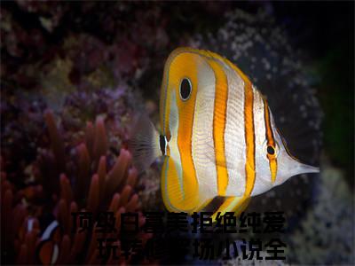 周蕴浓（顶级白富美拒绝纯爱，玩转修罗场）全文免费阅读无弹窗大结局_（顶级白富美拒绝纯爱，玩转修罗场免费阅读全文大结局）最新章节列表
