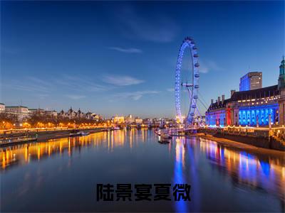 陆景宴夏微小说（陆景宴夏微）全文免费阅读无弹窗大结局_（陆景宴夏微）陆景宴夏微最新章节列表笔趣阁（陆景宴夏微）