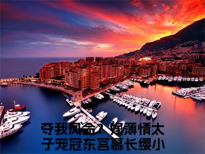 夺我凤命？嫁薄情太子宠冠东宫慕长缨小说(夺我凤命？嫁薄情太子宠冠东宫慕长缨)全文免费阅读无弹窗大结局_(夺我凤命？嫁薄情太子宠冠东宫慕长缨小说全文大结局)最新章节列表_笔趣阁（夺我凤命？嫁薄情太子宠冠东宫慕长缨）