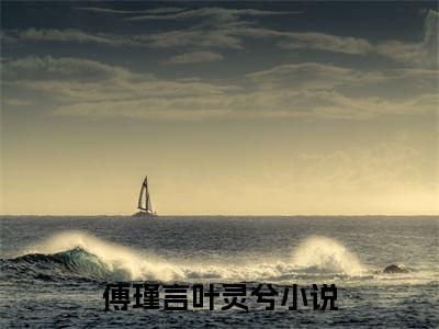 致命撩宠，病娇大佬惯坏小娇妻（傅瑾言叶灵兮全文小说）全文免费阅读无弹窗大结局_傅瑾言叶灵兮全文免费阅读最新章节列表